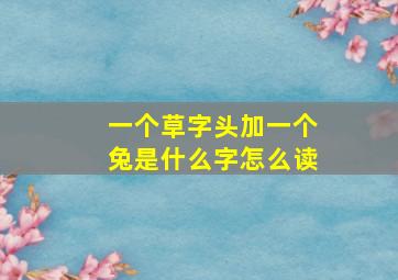 一个草字头加一个兔是什么字怎么读