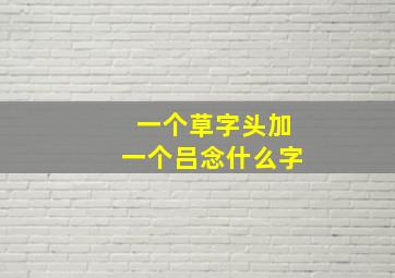 一个草字头加一个吕念什么字