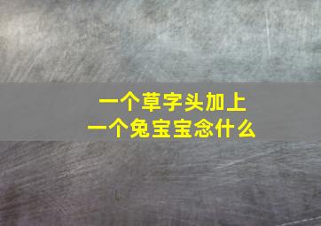 一个草字头加上一个兔宝宝念什么