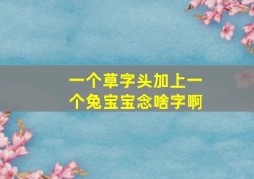 一个草字头加上一个兔宝宝念啥字啊