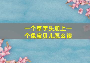 一个草字头加上一个兔宝贝儿怎么读