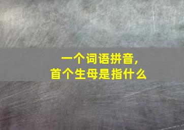 一个词语拼音,首个生母是指什么