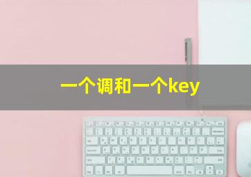 一个调和一个key