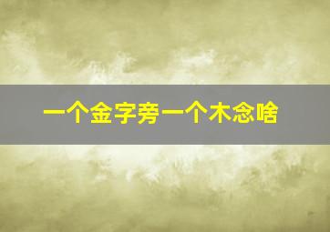 一个金字旁一个木念啥