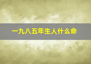 一九八五年生人什么命