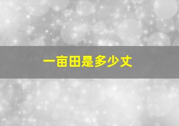 一亩田是多少丈