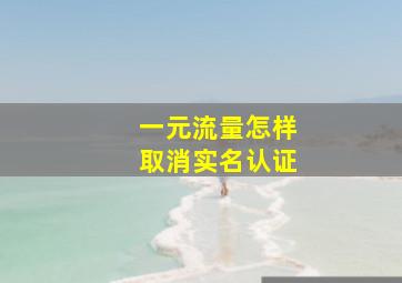 一元流量怎样取消实名认证