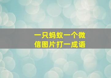 一只蚂蚁一个微信图片打一成语