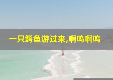 一只鳄鱼游过来,啊呜啊呜