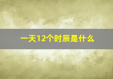 一天12个时辰是什么