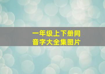 一年级上下册同音字大全集图片