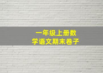 一年级上册数学语文期末卷子