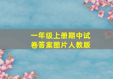 一年级上册期中试卷答案图片人教版