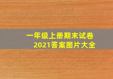 一年级上册期末试卷2021答案图片大全