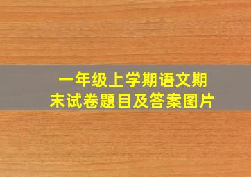 一年级上学期语文期末试卷题目及答案图片