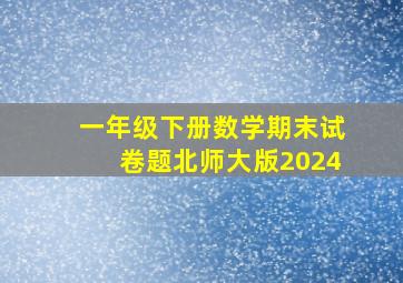 一年级下册数学期末试卷题北师大版2024