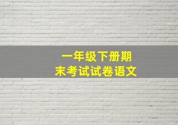 一年级下册期末考试试卷语文