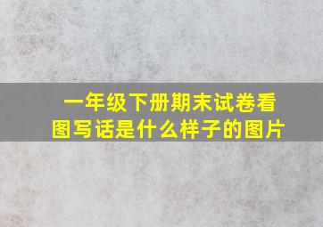 一年级下册期末试卷看图写话是什么样子的图片