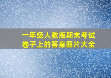 一年级人教版期末考试卷子上的答案图片大全