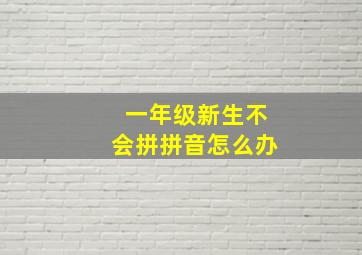 一年级新生不会拼拼音怎么办