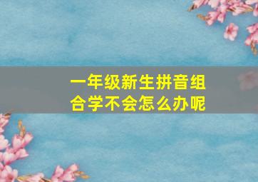 一年级新生拼音组合学不会怎么办呢