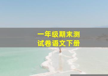 一年级期末测试卷语文下册