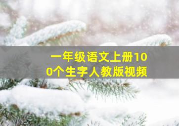 一年级语文上册100个生字人教版视频