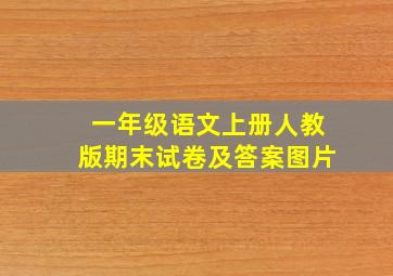 一年级语文上册人教版期末试卷及答案图片