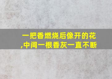 一把香燃烧后像开的花,中间一根香灰一直不断