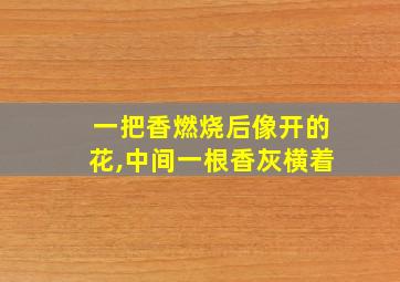 一把香燃烧后像开的花,中间一根香灰横着