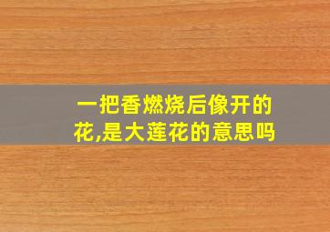 一把香燃烧后像开的花,是大莲花的意思吗