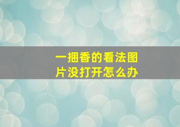 一捆香的看法图片没打开怎么办