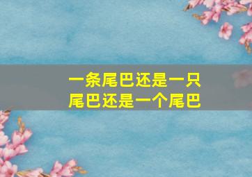 一条尾巴还是一只尾巴还是一个尾巴