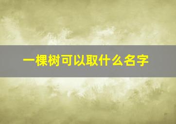 一棵树可以取什么名字