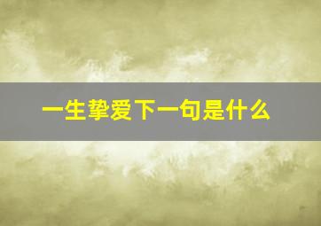 一生挚爱下一句是什么