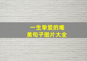 一生挚爱的唯美句子图片大全