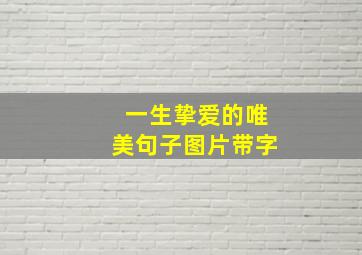 一生挚爱的唯美句子图片带字