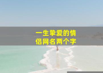 一生挚爱的情侣网名两个字