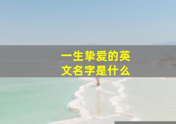 一生挚爱的英文名字是什么