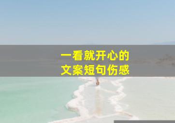 一看就开心的文案短句伤感