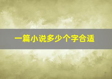 一篇小说多少个字合适