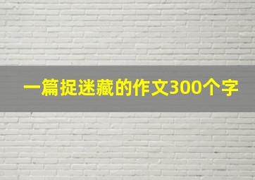 一篇捉迷藏的作文300个字