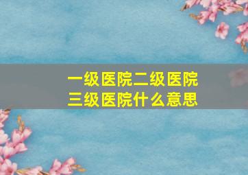 一级医院二级医院三级医院什么意思