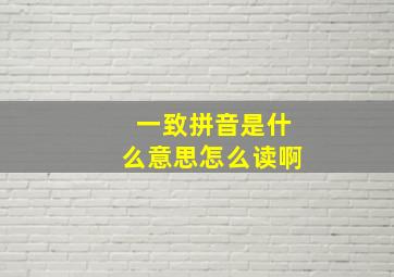 一致拼音是什么意思怎么读啊