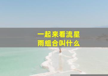 一起来看流星雨组合叫什么