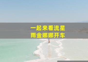 一起来看流星雨金娜娜开车