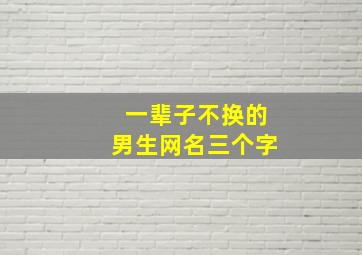 一辈子不换的男生网名三个字