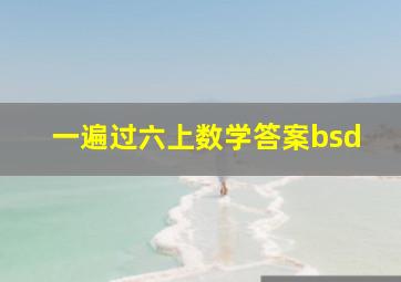 一遍过六上数学答案bsd