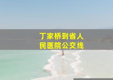 丁家桥到省人民医院公交线