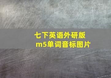 七下英语外研版m5单词音标图片